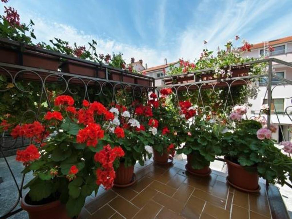 Apartments Elda Rovinj Dış mekan fotoğraf